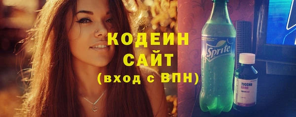 индика Горняк