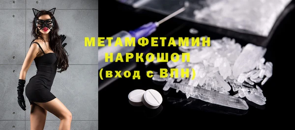 индика Горняк
