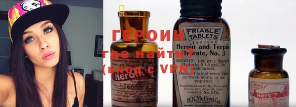 индика Горняк