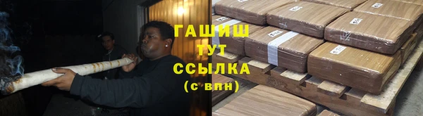 индика Горняк