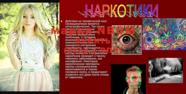 индика Горняк