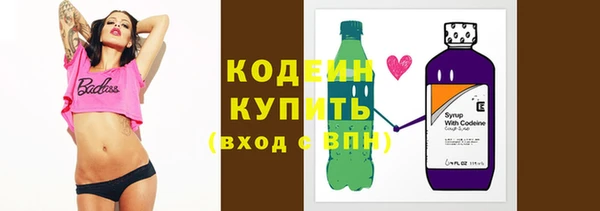 индика Горняк