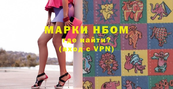 индика Горняк