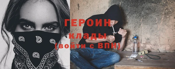 гидра Горнозаводск