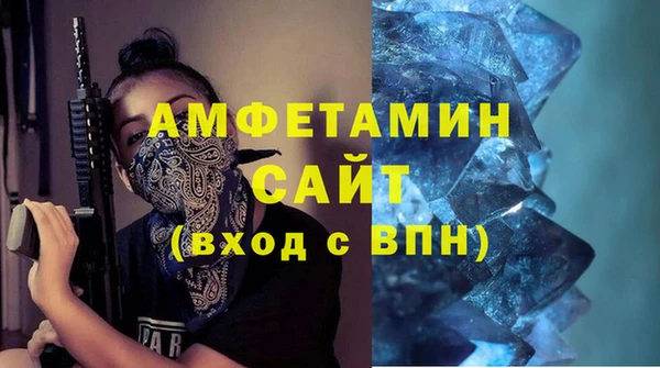 индика Горняк