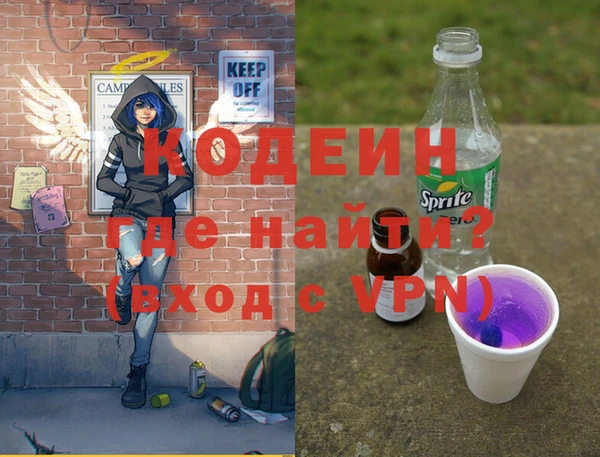 индика Горняк