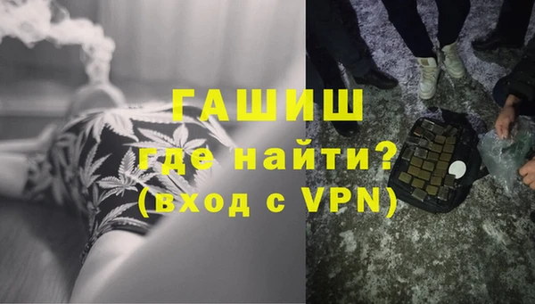 индика Горняк