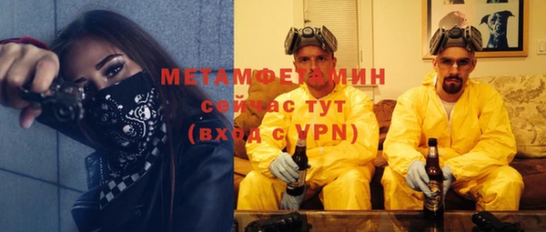 индика Горняк
