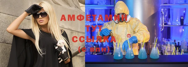 гидра Горнозаводск