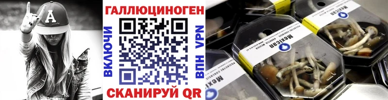 omg ONION  Красноярск  Псилоцибиновые грибы мухоморы  нарко площадка клад  наркошоп 